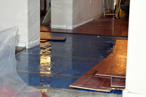 Professional Sewage Cleanup technician working in Lothian, MD
